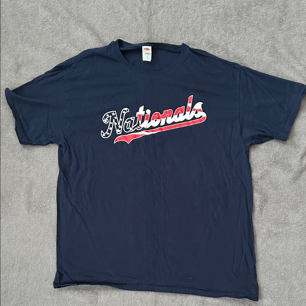 Fruit of the Loom Navy Washington Nationals Tee Large